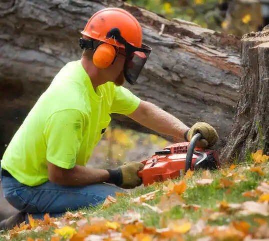 tree services Sun Prairie